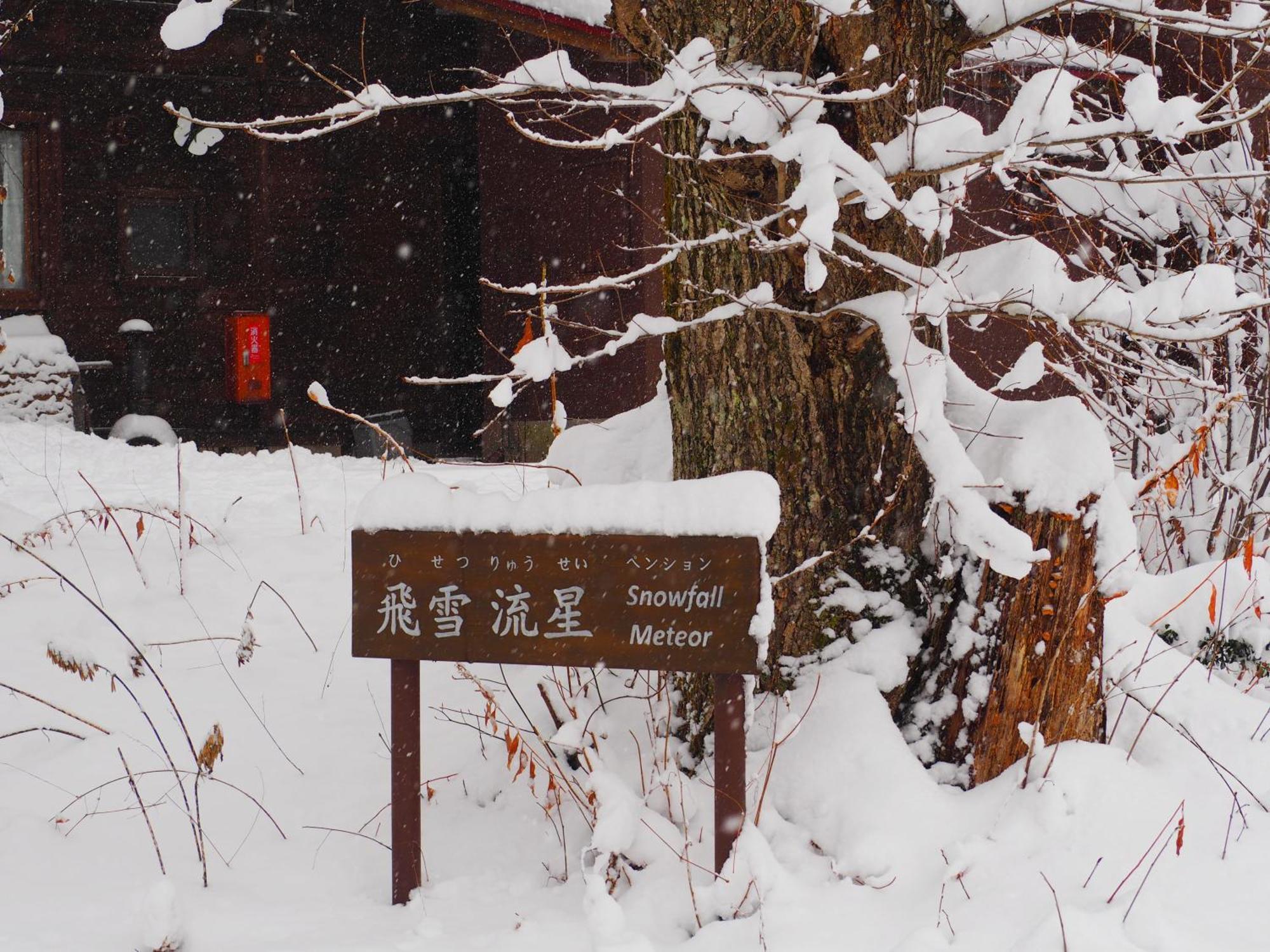 Snowfall Meteor 飛雪流星 Kaminoyama Экстерьер фото